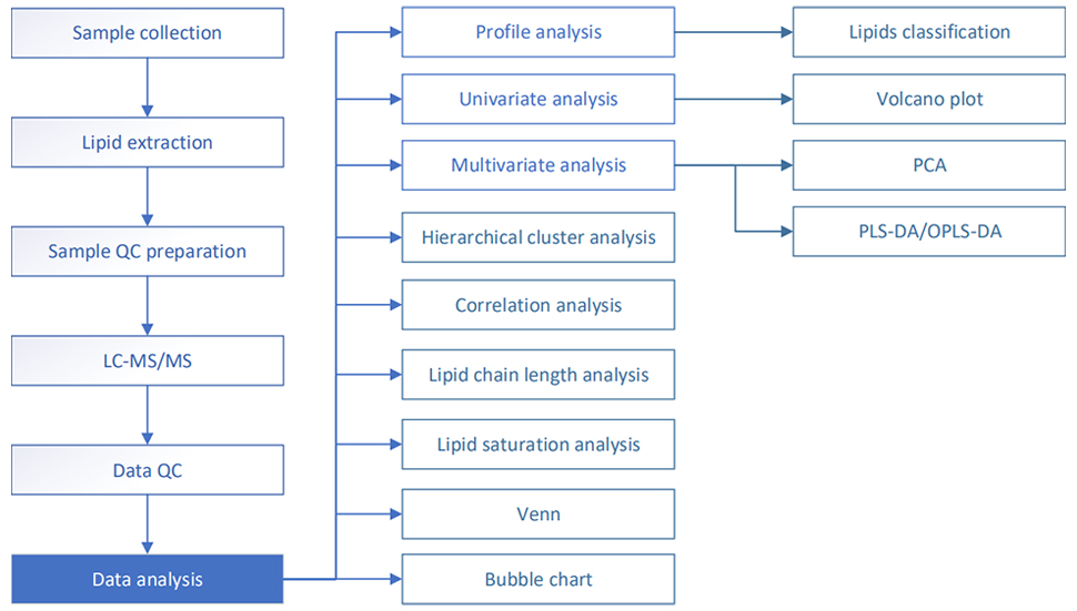 Untargeted Lipidomics Project Workflow