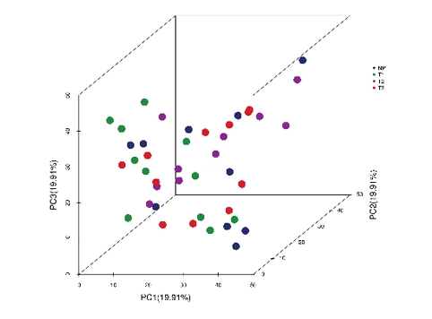 4D DIA Proteomics Service Company/Provider | INOMIXO