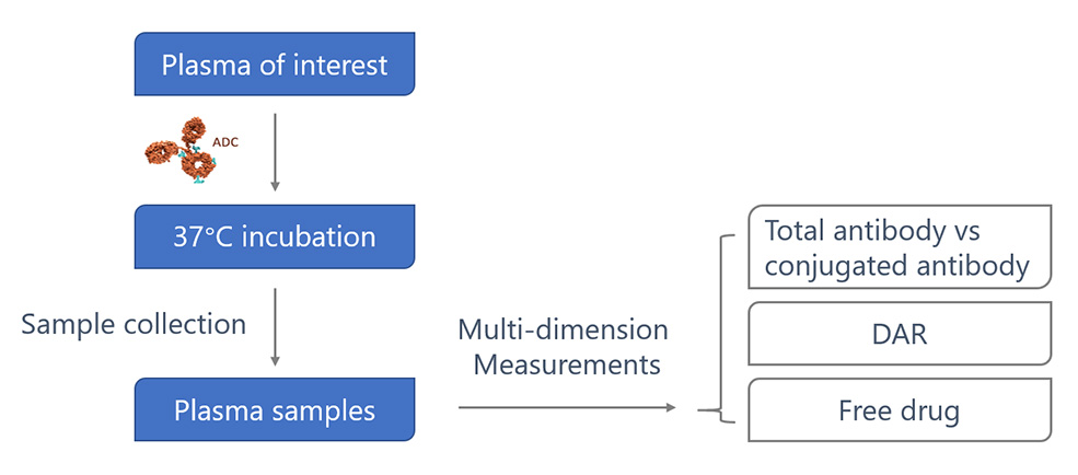 ADC Plasma Stability Project Workflow