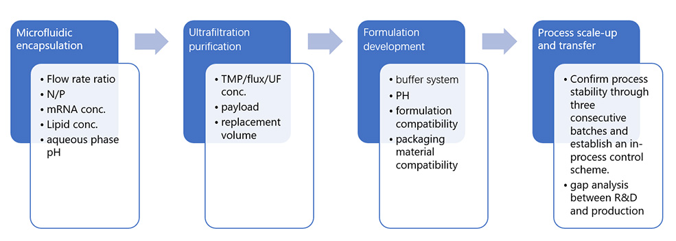 Drug Product Manufacturing