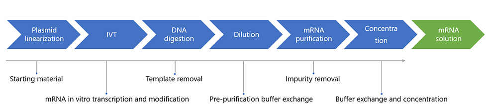 Drug Substance Manufacturing Ivt Synthesis