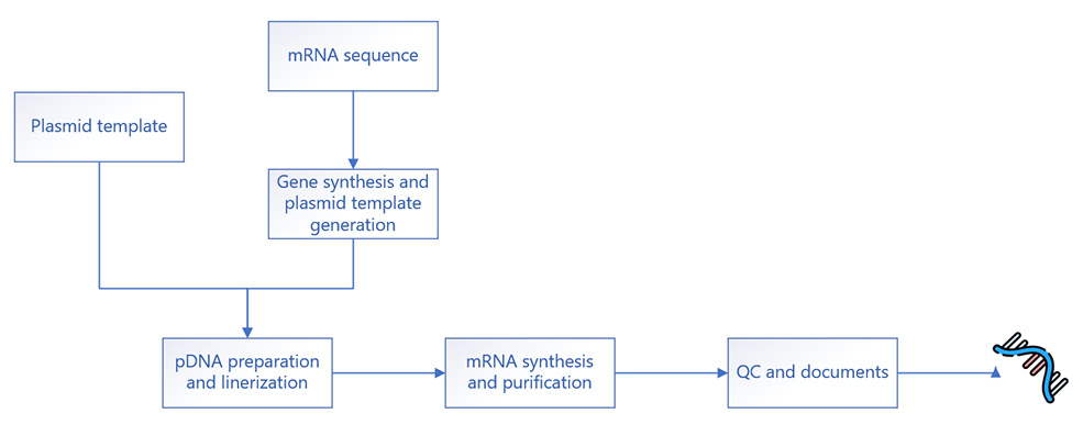 Drug Substance Manufacturing Process