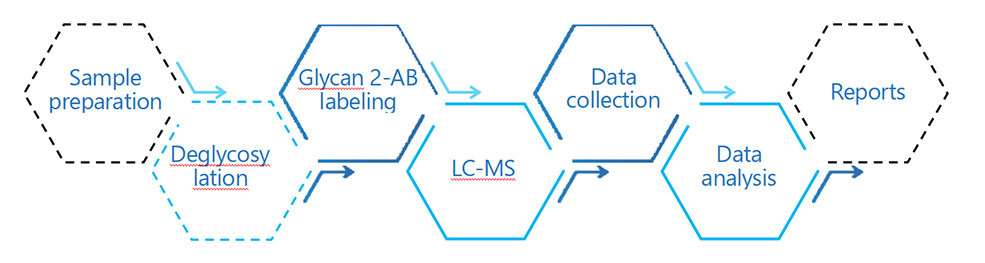 Project Workflow of Glycosylation Analysis Service