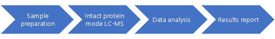 Intact Protein Quantification