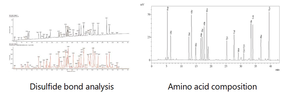 Intact Protein Analysis Application Display