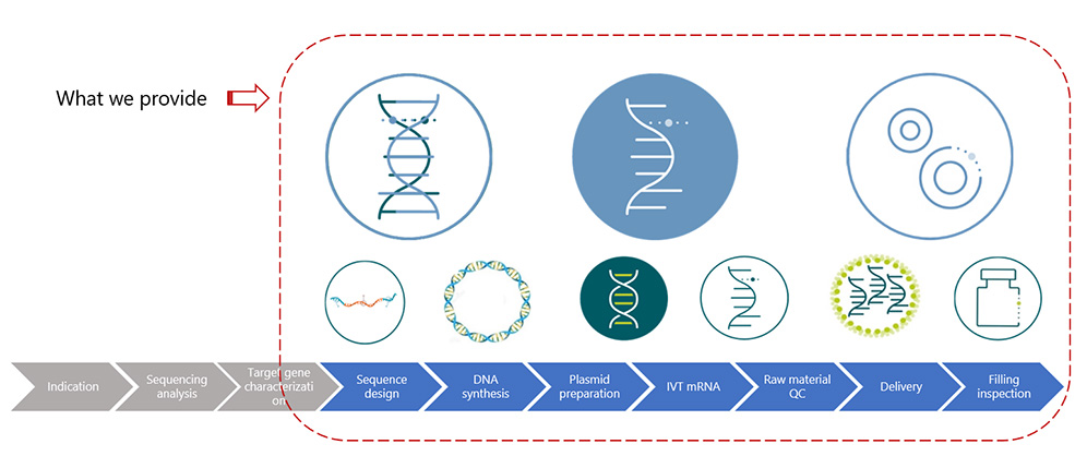 mRNA Manufacturing Company