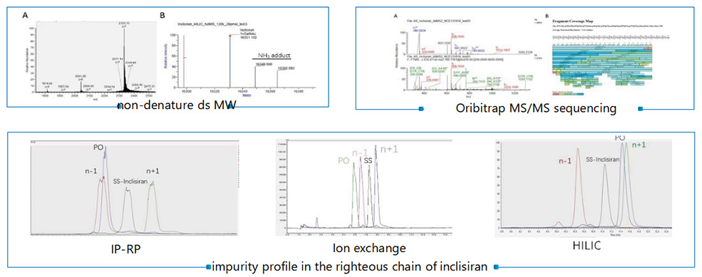 Oligonucleotide Analysis Mass Spectrometry Application Display