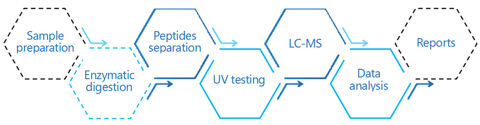 Peptide Mapping Service Project Workflow