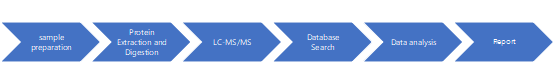 Protein Identification Service