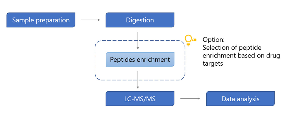 Target Engagement Assays Workflow