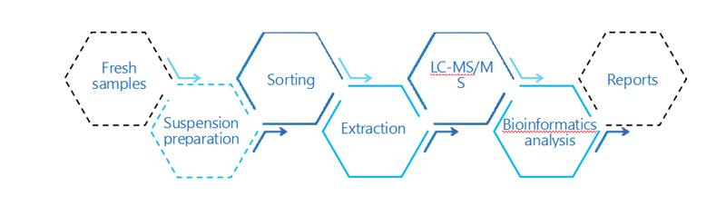 Single Cell Proteomics Project Workflow