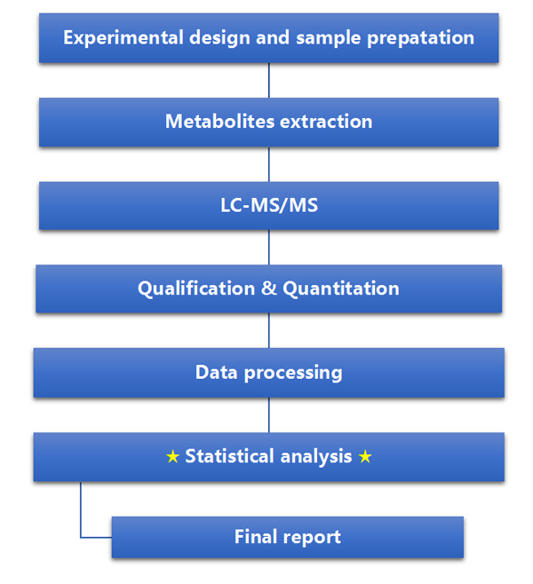 INOMIXO Untargeted Metabolomics Project Workflow