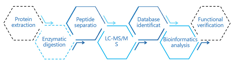 Untargeted Peptidomics Service Workflow