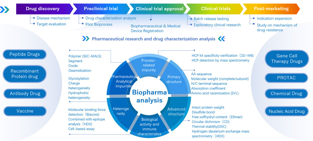 Process-Analysis.jpg